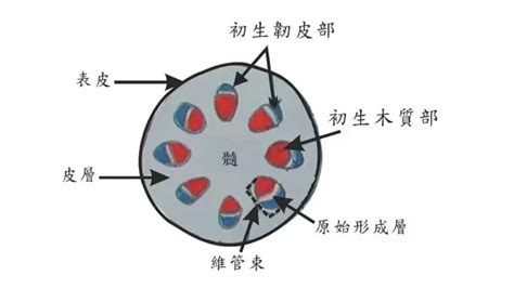 管束意思|管束是什么意思？